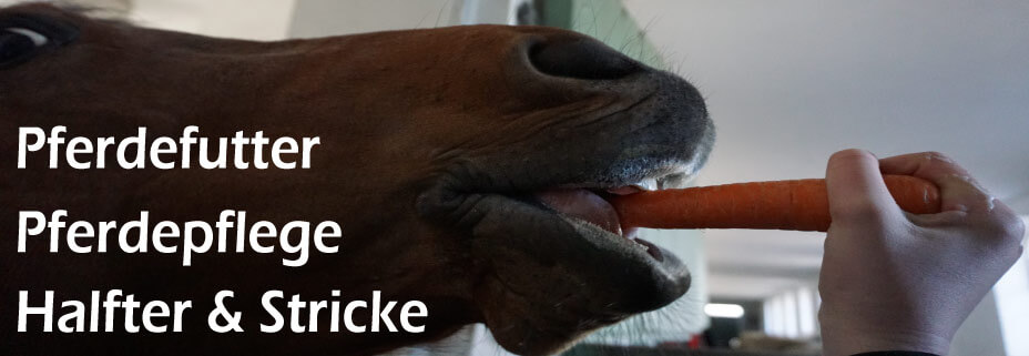 Halfter-Stricke