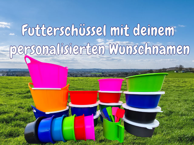 Jetzt deine Futterschüsseln personalisieren.