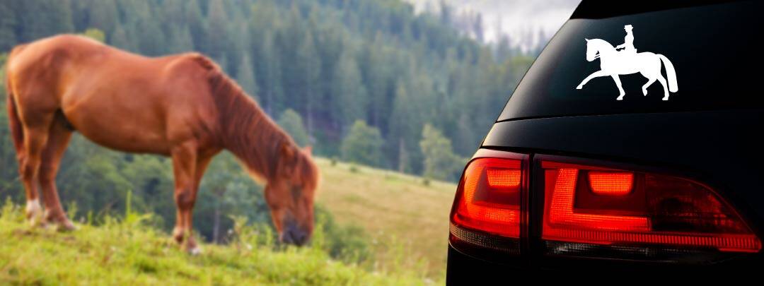 Aufkleber Pferd in vielen Sorten