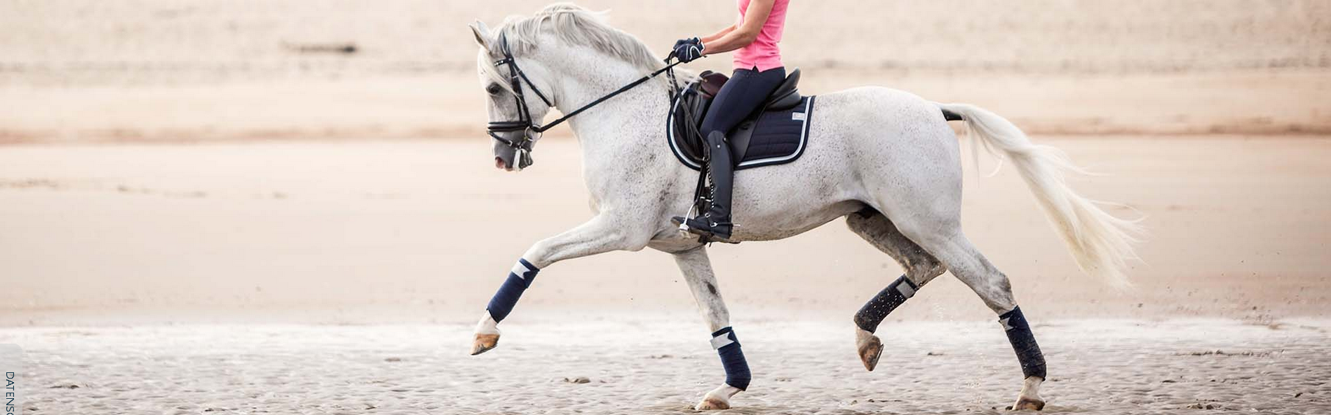 Bandagen für dein Pferd bei Reitsport-Weise