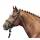 HKM Reittrense Lou in Schwarz - Größe: Warmblut