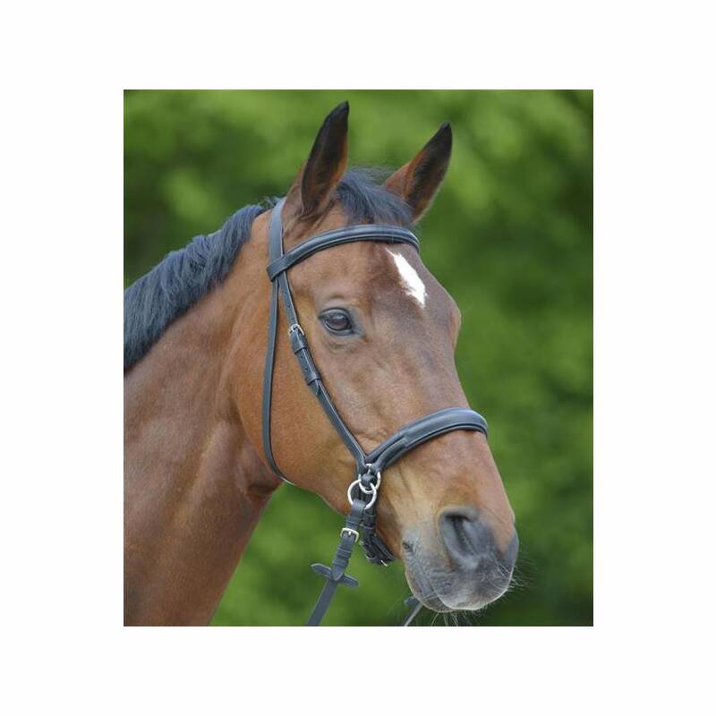 STAR Trensenzaum Gebisslos - Größe: WB (Warmblut)