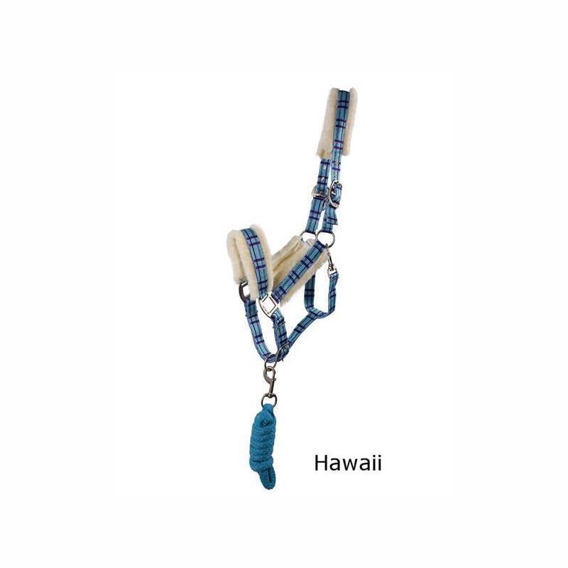 QHP Halfter-Set in Hawaii - Gr&ouml;&szlig;e: Full (Warmblut)