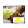Hunde Leuchtweste S