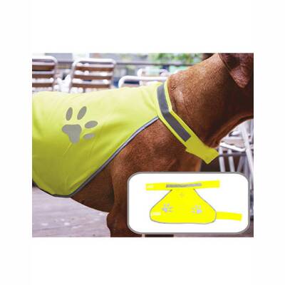 Hunde Leuchtweste L