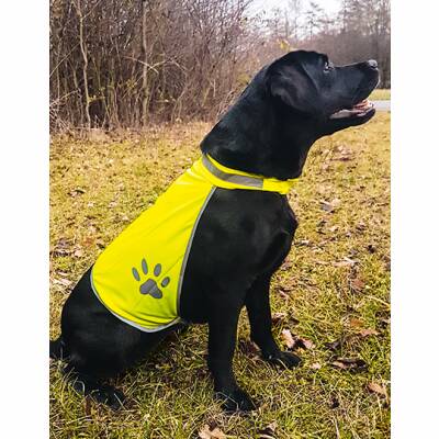Hunde Leuchtweste L