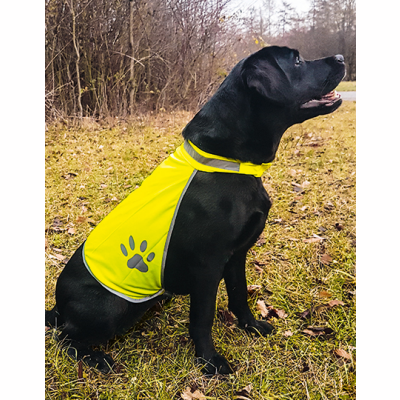 Hunde Leuchtweste L