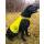 Hunde Leuchtweste L
