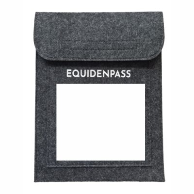 Equidenpasshülle Pferdepasshülle mit NAME personalisierbar Pferdepasshülle dunkles Grau-Gold