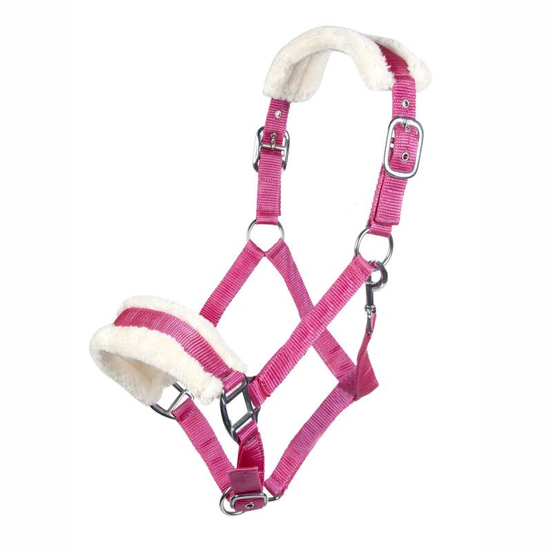 Halfter "Bischofshofen" mit Plüschpolsterung Pink/Magenta-Pony