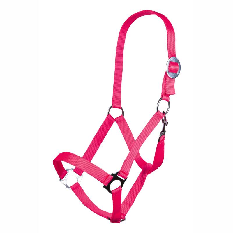 Halfter -Stars Economy Softice- Neon Pink-Shetty