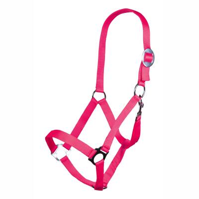 Halfter -Stars Economy Softice- Neon Pink-Pony