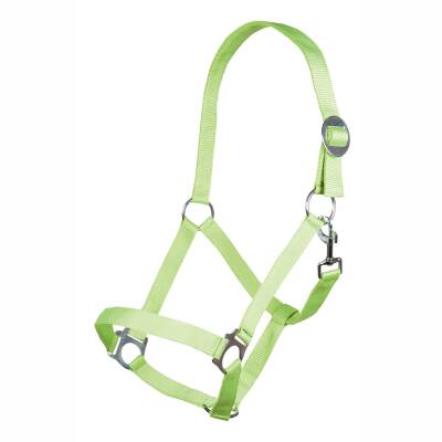 Halfter -Stars Economy Softice- Neon Pink-Pony