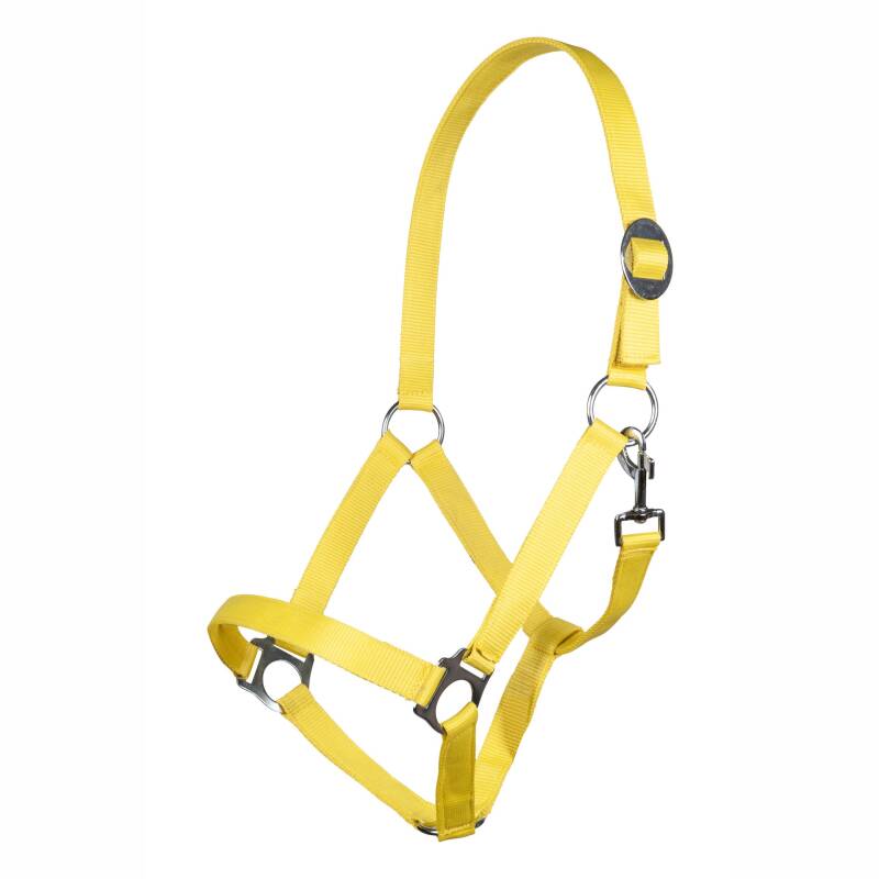 Halfter -Stars Economy Softice- Neon Gelb-COB / Vollblut