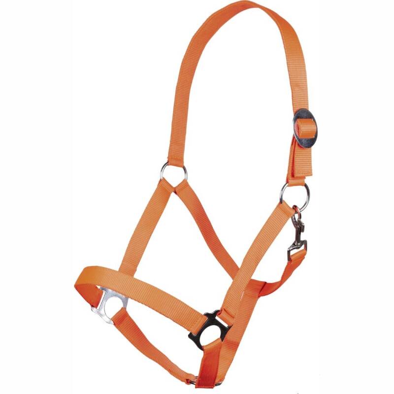 Halfter -Stars Economy Softice- Neon Orange-Pony