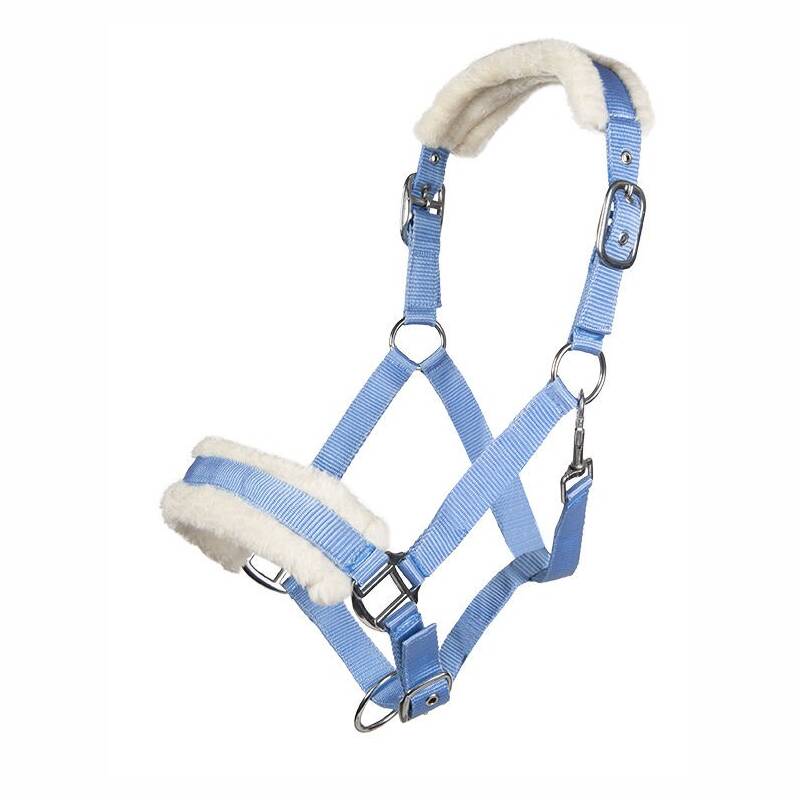Halfter mit Plüschpolsterung und Wunschnamen BabyBlau-Pony
