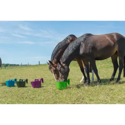 Tragbare Turnier-Futtertrog (13,5 L) in vielen Farben
